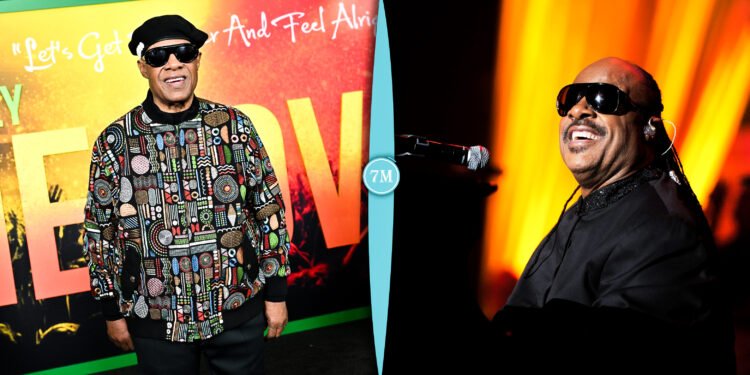 Stevie Wonder Net Worth